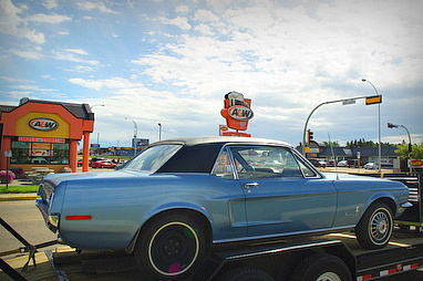 Grey eagle casino show and shine